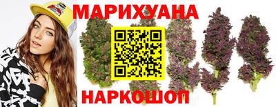mdpv Владивосток