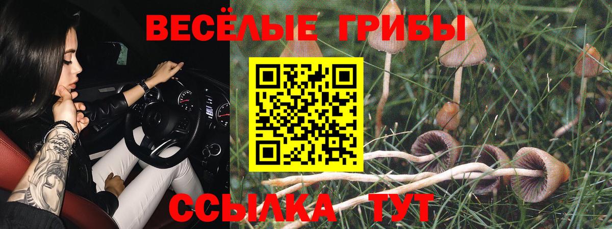 Губаха  Галлюциногенные грибы ЛСД  Вход с VPN 